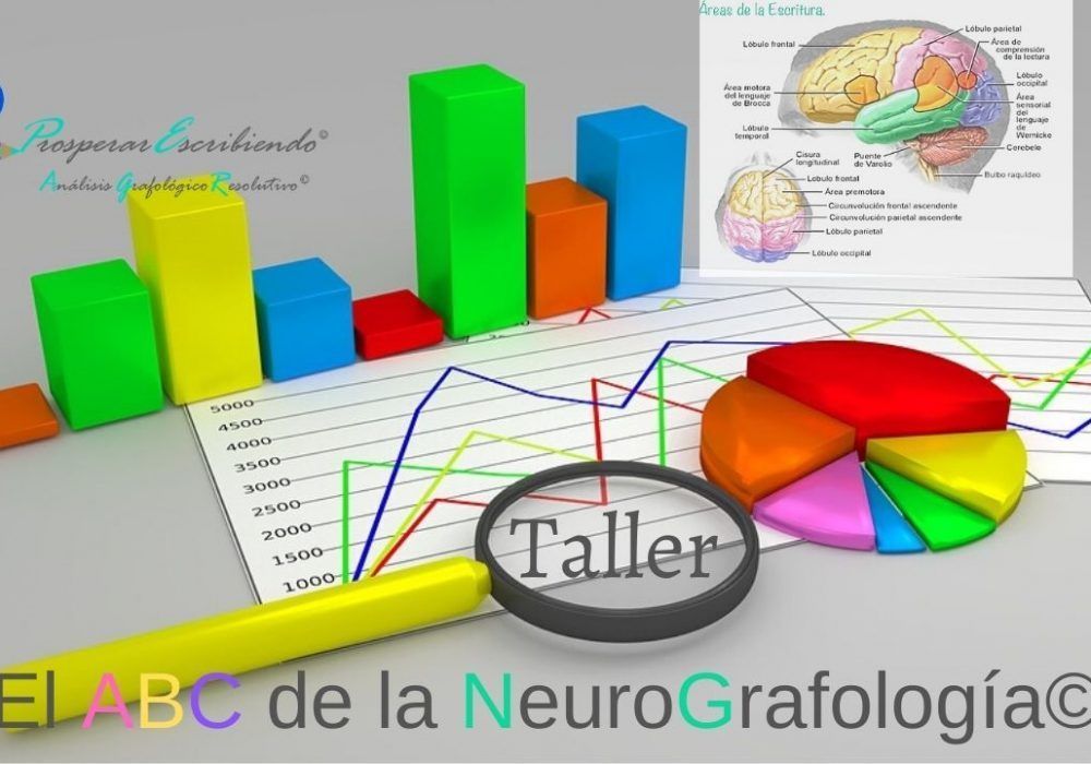 El ABC de la NeuroGrafología es para Coaches, terapeutas que quieren DiferenciarSE.