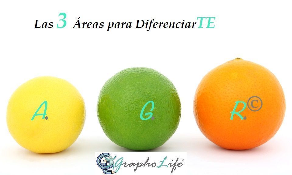 3 Áreas de adaptación, diferenciación y estrategia