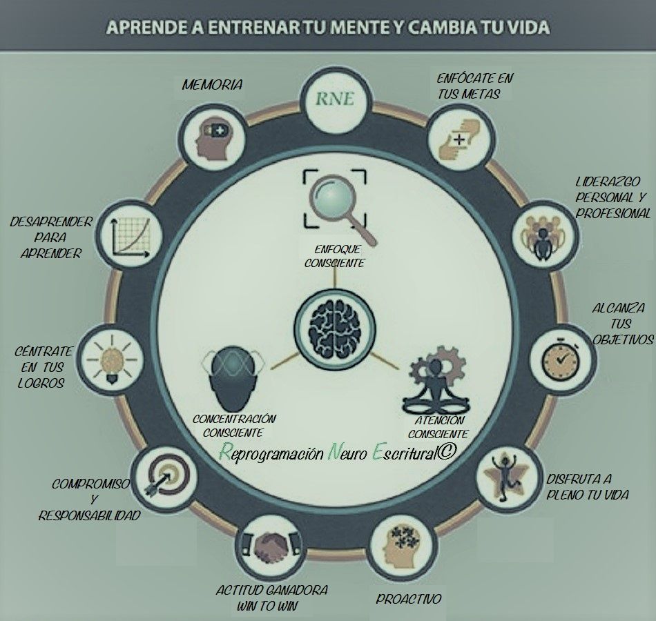 Reprogramación Neuro Escritural