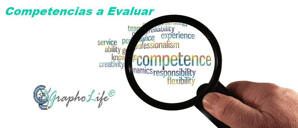 Competencias a Evaluar